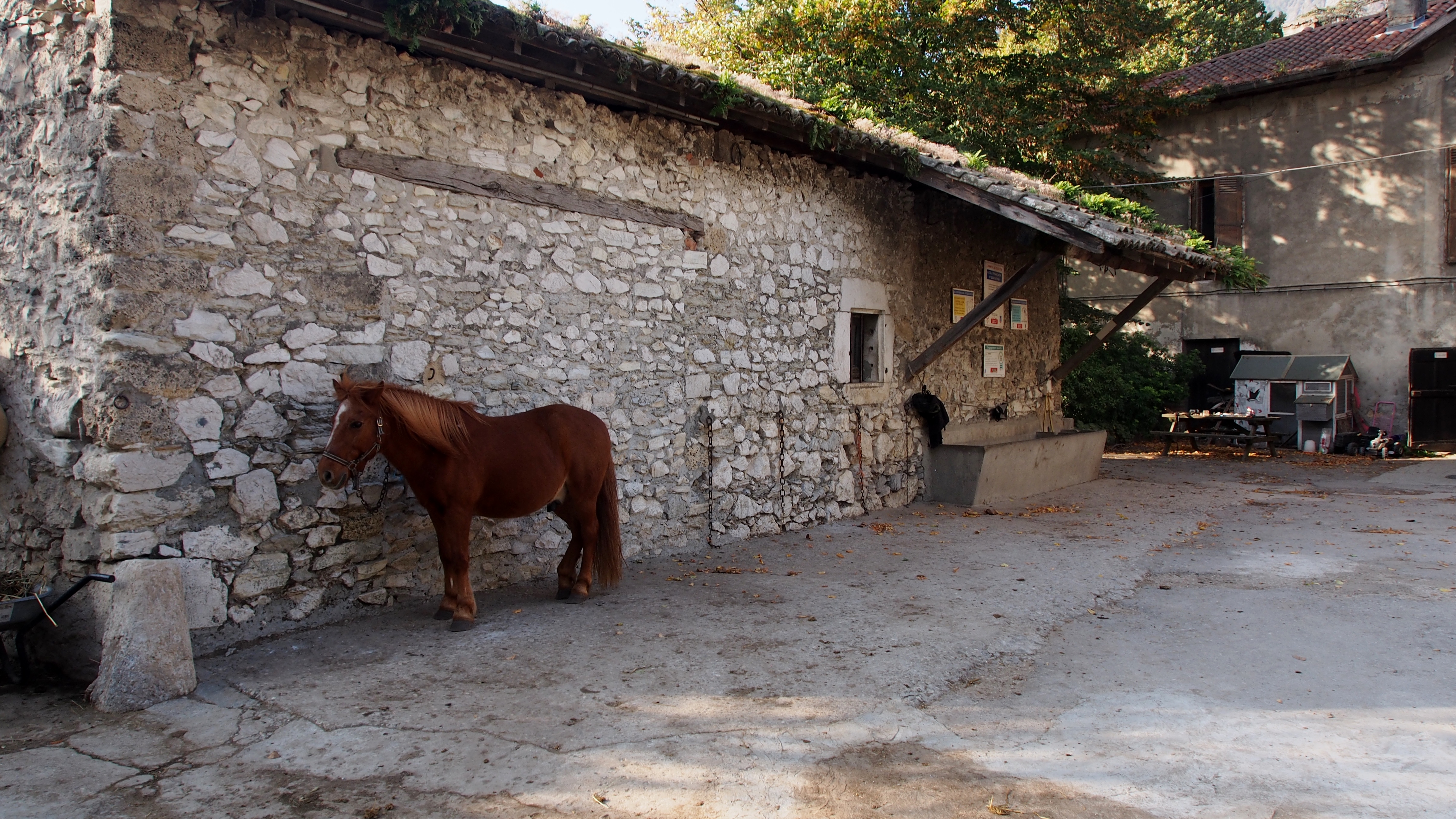 Balade d'initiation à cheval à Villard de Lans | Isère Tourisme