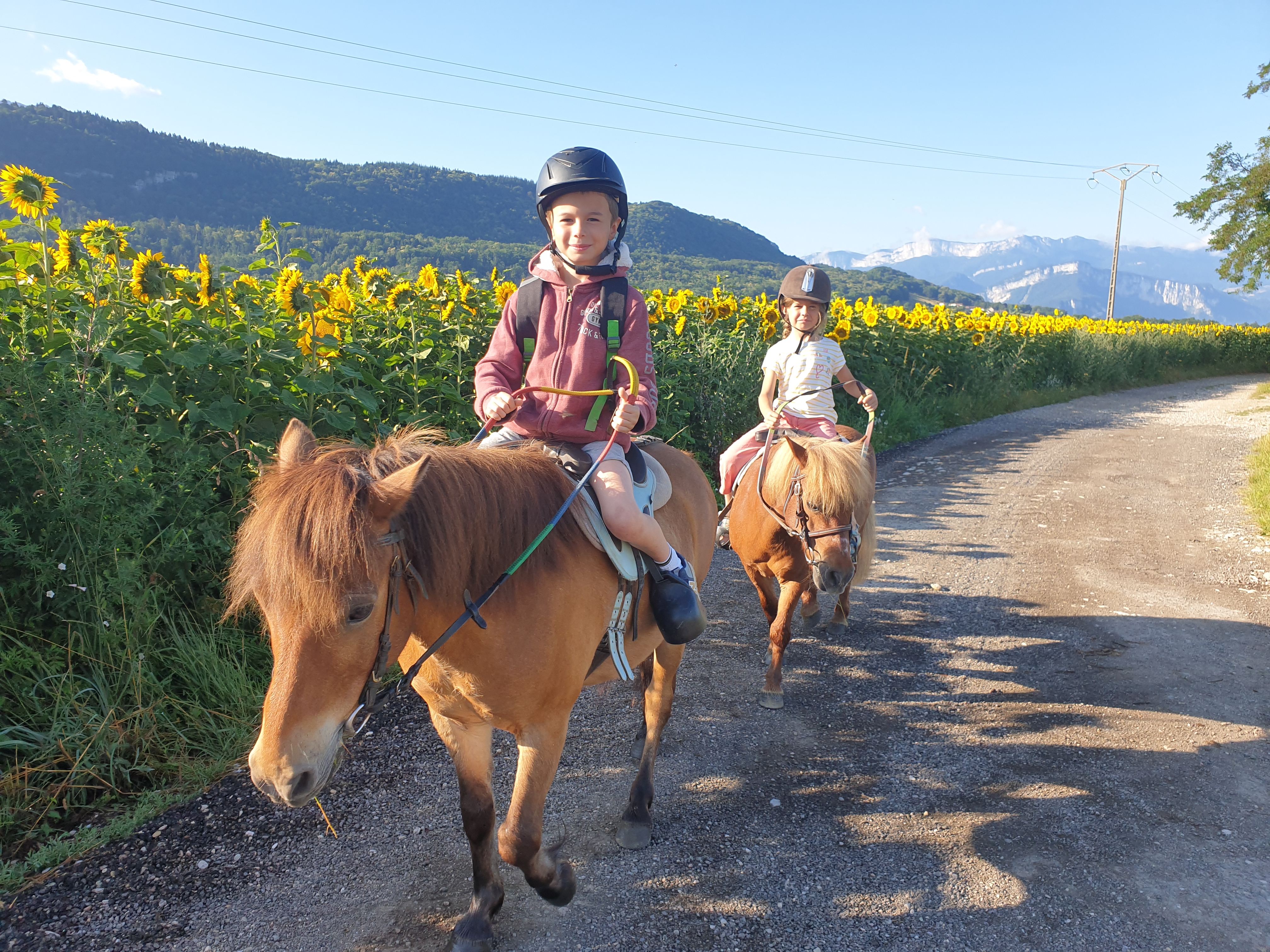 Location de poney «Ses premières foulées en famille» | Isère Tourisme