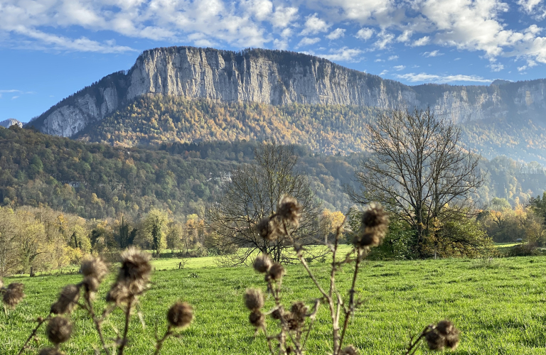 Vue sur le massif de Chartreuse