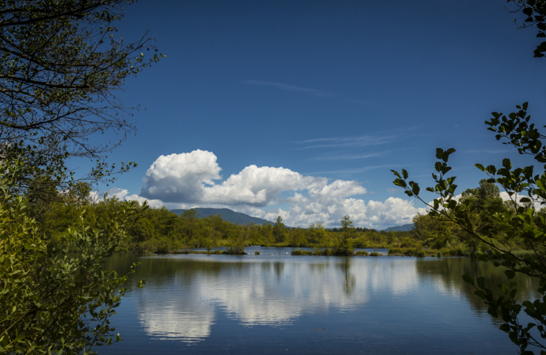 Espace Naturel Sensible de la Save - Secteur des tangs de Passins