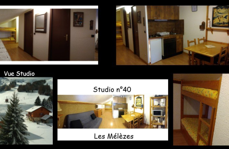 Studio 5 pers - Les Mélèzes - SEYCHAL Eddy