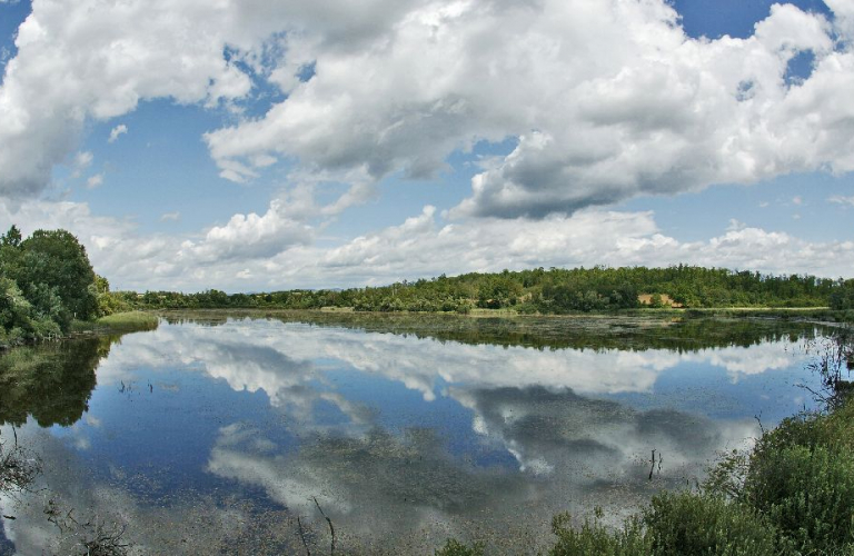 Espace naturel sensible de ltang de Lemps