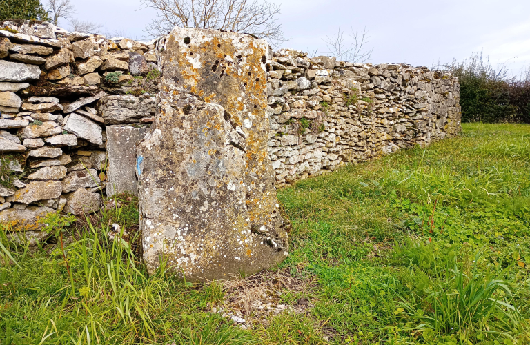 Mur en pierres sches  Parmilieu - Balcons du Dauphin