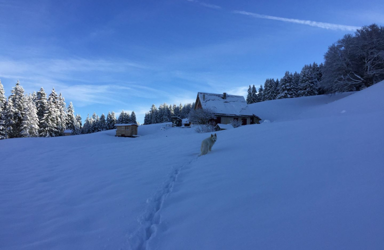 Refuge des Feneys