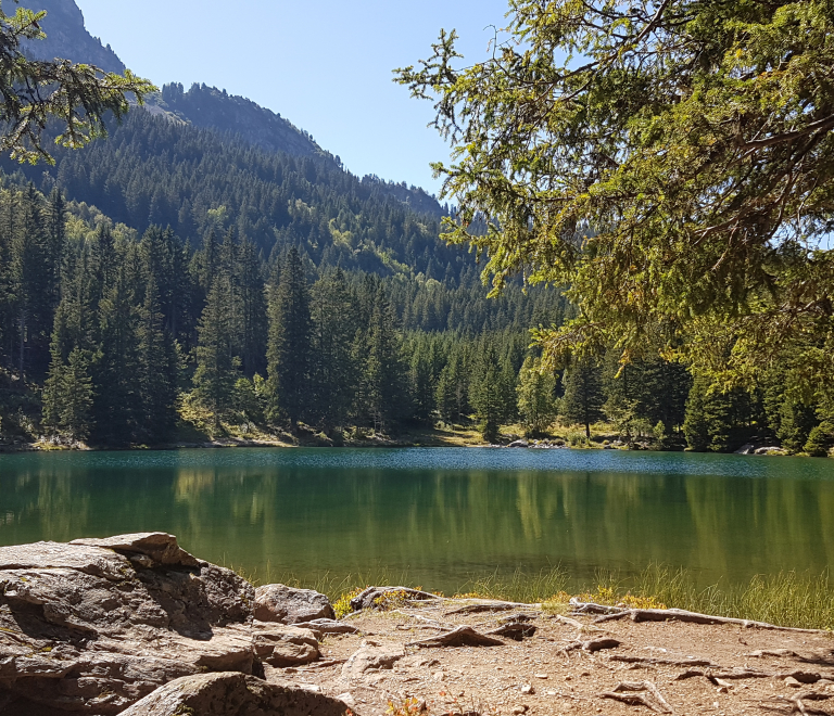 Plage du lac du Sautet | Isère Tourisme